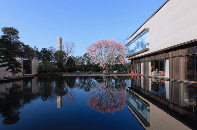 1585901260706341.jpg 圖片4.jpg