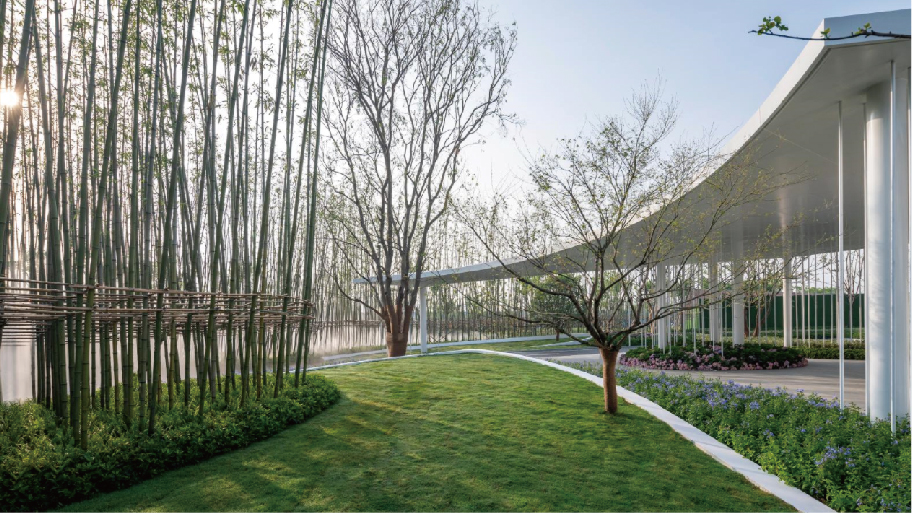 1666598330872027.jpg 2.jpg