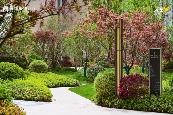 徐州金輝信步蘭庭實景圖 徐州金輝信步蘭庭實景圖